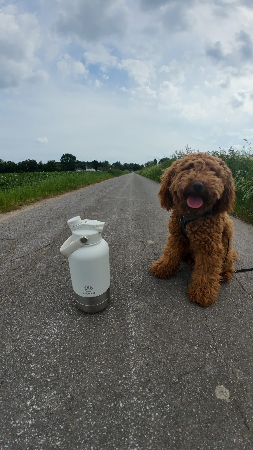 PFOTEO Trinkflasche